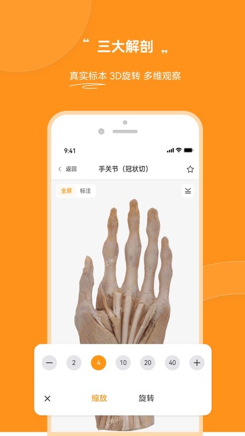 芝士医生 芝士医生