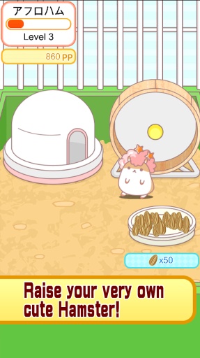 Hamster