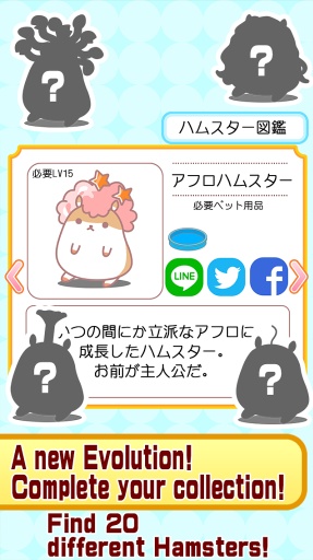 Hamster
