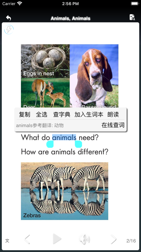 小白杨趣读