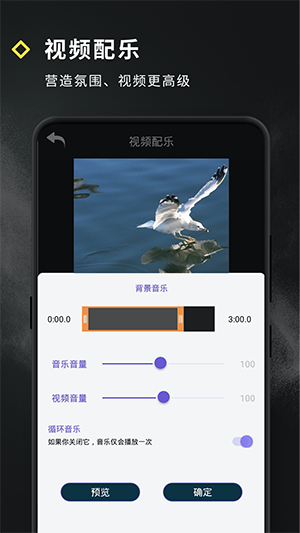 短视频特效制作