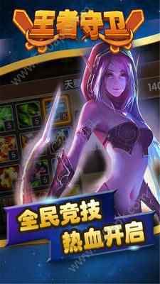 王者守卫