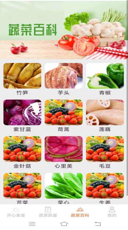 美食点点