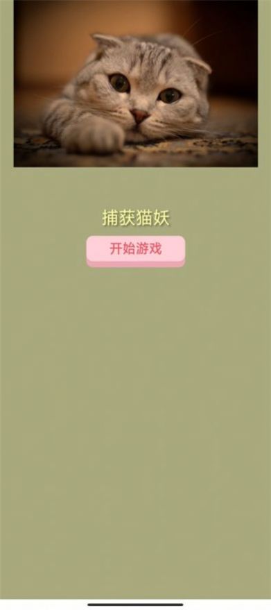 捕获猫妖 捕获猫妖