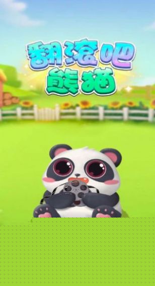 翻滚吧熊猫