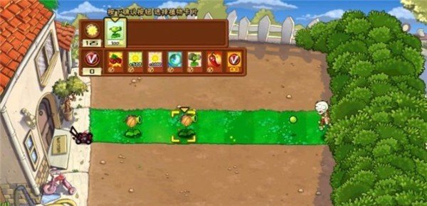 pvz坤坤大战丧尸