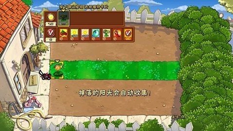pvz坤坤大战丧尸