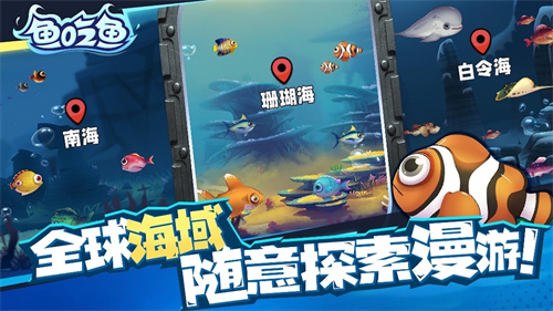 快乐的鲨鱼