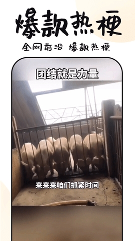 3分钟短剧