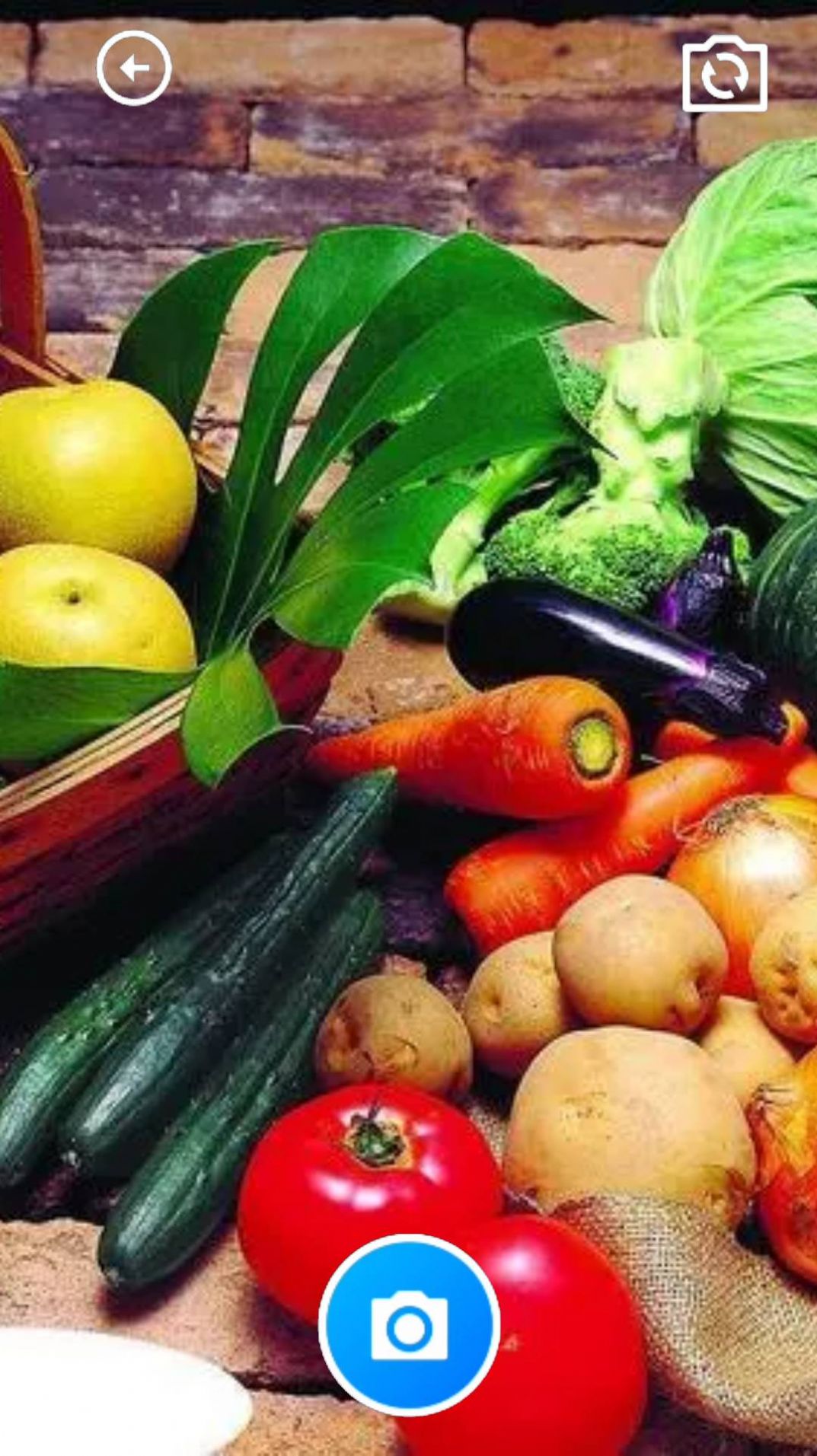 花蝶舞盒子 花蝶舞盒子