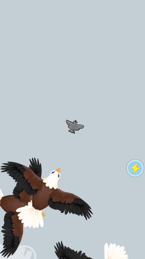 这个地盘我做主