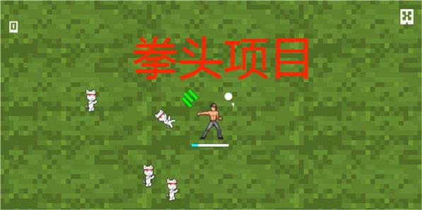 拳头项目