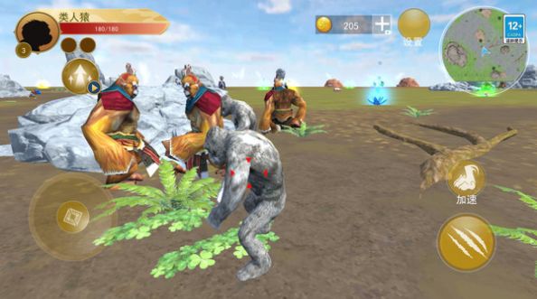 猿猴时代 猿猴时代