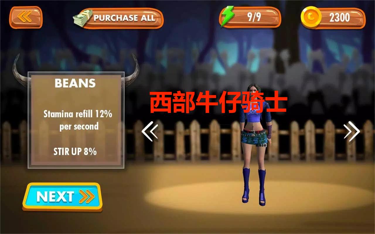 西部牛仔骑士