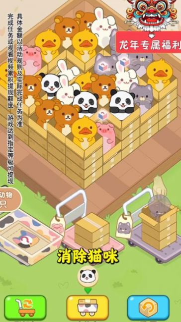 猫请就位