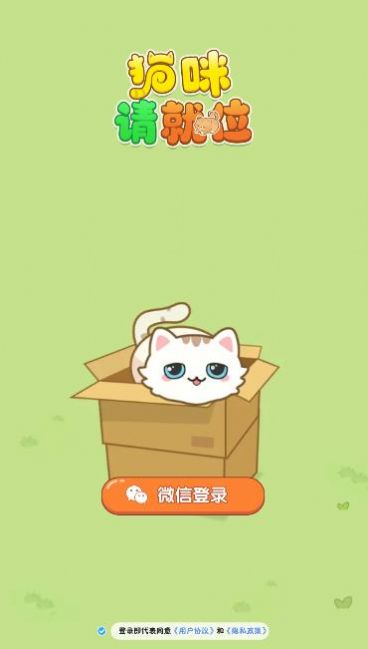 猫请就位