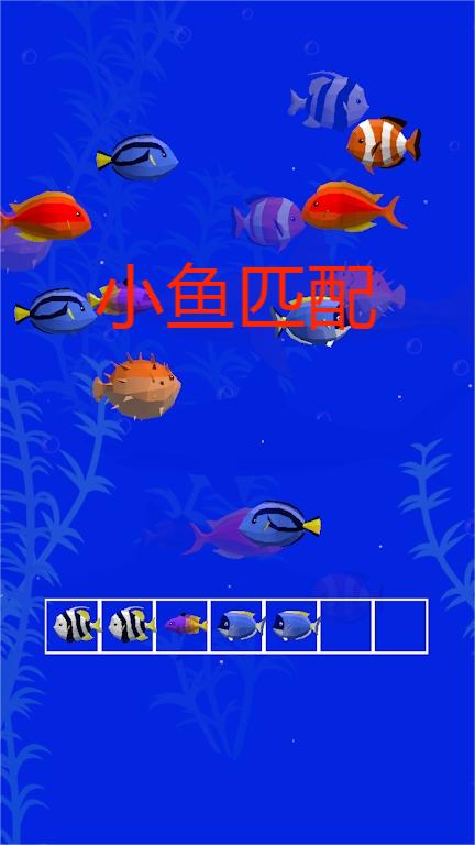 小鱼匹配