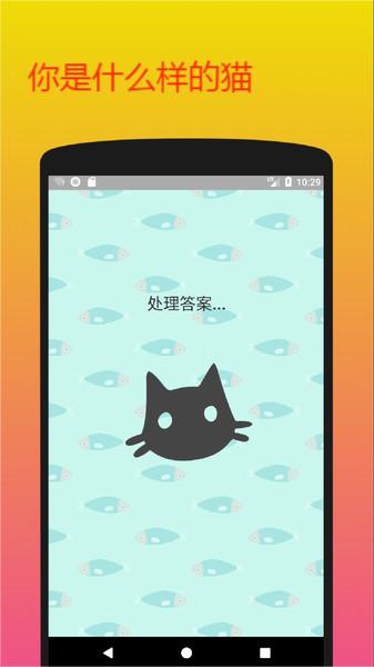 你是什么样的猫