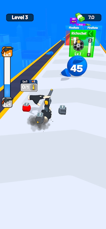 ReolerSlinger