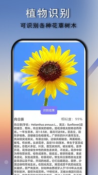 识别王